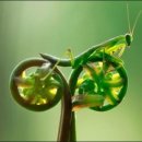 삼숭초등학교 이미지