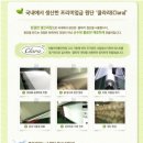 그린 프레쉬 이미지