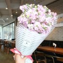 플라로마