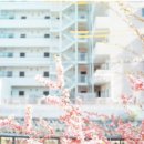 산책하는날 이미지