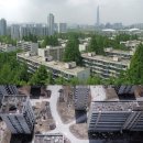 둔촌 동물약국 | [ 남아 주세요 - 이효리 ] : 영화 &lt;고양이들의 아파트&gt;를 보고_ &lt;고양이를 부탁해&gt;의 정재은 감독 작품