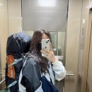 건디윈디 | 뚜벅이 첫혼캠핑(백패킹) 호명산잣나무숲속캠핑장