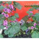 부동산랜드김태연공인중개사사무소 이미지