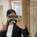 중앙법률사무교육원 수강 후기