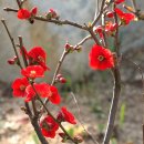 안산식물원 이미지