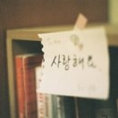 D I M 이미지
