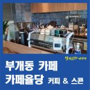 카페율당