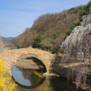 영산 만년교 이미지