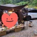 맥스앤루나 네이버블로그