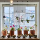 골목나들이 이미지