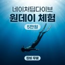 네이처다이브
