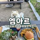 192 | 남양주 엠아르 | 북한강뷰 애견동반 브런치카페