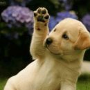 라니휘트니스 이미지