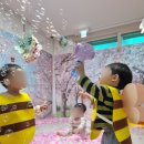 마리노리터 네이버블로그