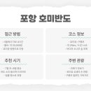 바다와숲 이미지