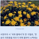 📣유사시에 납치' 서거" 하시는 대통령님도 🔺️도망 가는 대통령도 없는 새 천년을 건설해야 합니다.🔺️적을 이롭게하는 동물사육/ 이미지