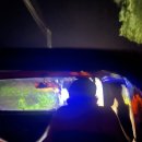 명기농장 | 우리의 신혼여행기 [발리 2편]