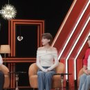 다사파피루스 마이데일리