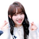 코코로 이미지