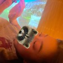 한강아쿠아 이미지