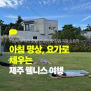 명상체조 | 아침 명상, 요가로 채우는 제주 웰니스 여행 가성비 부티크 호텔 &#39;신성의 숲&#39; 창업 리얼 스토리