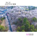 선진리성 티스토리