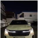 금성카 | 울산역렌트카 울산금성렌트카의 여행 동반자 후기