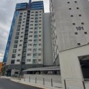 벚꽃로12길 이미지