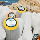 죽성 드림홀 이미지