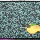 삼거리슈퍼 이미지