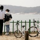 금잔디 이미지