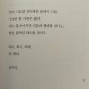 네일드쏠레이