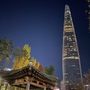 시그니엘 서울 더라운지 후기 및 샴페인 추천까지