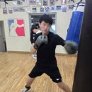 동탄센트럴복싱짐 이미지