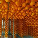 지리산 산뜨락 이미지