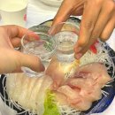 일번 | 노량진 수산시장 초장집 추천 고르는 꿀팁 일번지회양념 내돈내산 후기