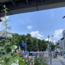손동현내과의원 | [일상] 서울 백련산, 가볍게 즐기는 도심 속 등산, 맨발걷기 가능한 산, 서대문 홍제천 롯지190, 짬뽕...