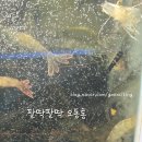 고흥우주주유소 이미지