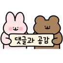 주식회사 테마 이미지