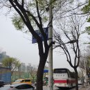 부흥고등학교 앞 횡단보도 이미지