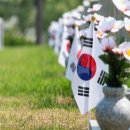 삼복밀면 이미지