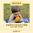 참샘길 | 밀양 참샘허브나라 단감 따기 체험_핑크 뮬리