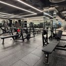 탑발란스휘트니스 이미지