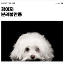개님살롱 레이크사이드 이미지