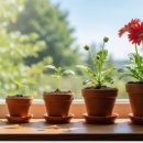 원데이클래스 강좌로 따라하기 쉬운 여행 펜 드로잉 | 오늘 바로 실천하는 '소확행' 50가지 완벽 가이드