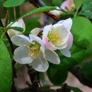 꿈이 있는 곳 이미지