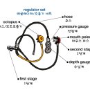 남진수중