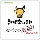 보령이가정의원 이미지