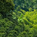 1002카랜드 이미지