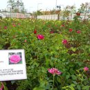 수변공원(1) 이미지